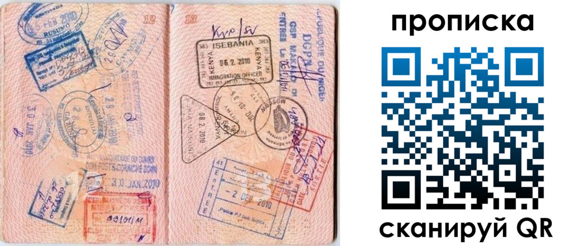 прописка для школы в Заполярном